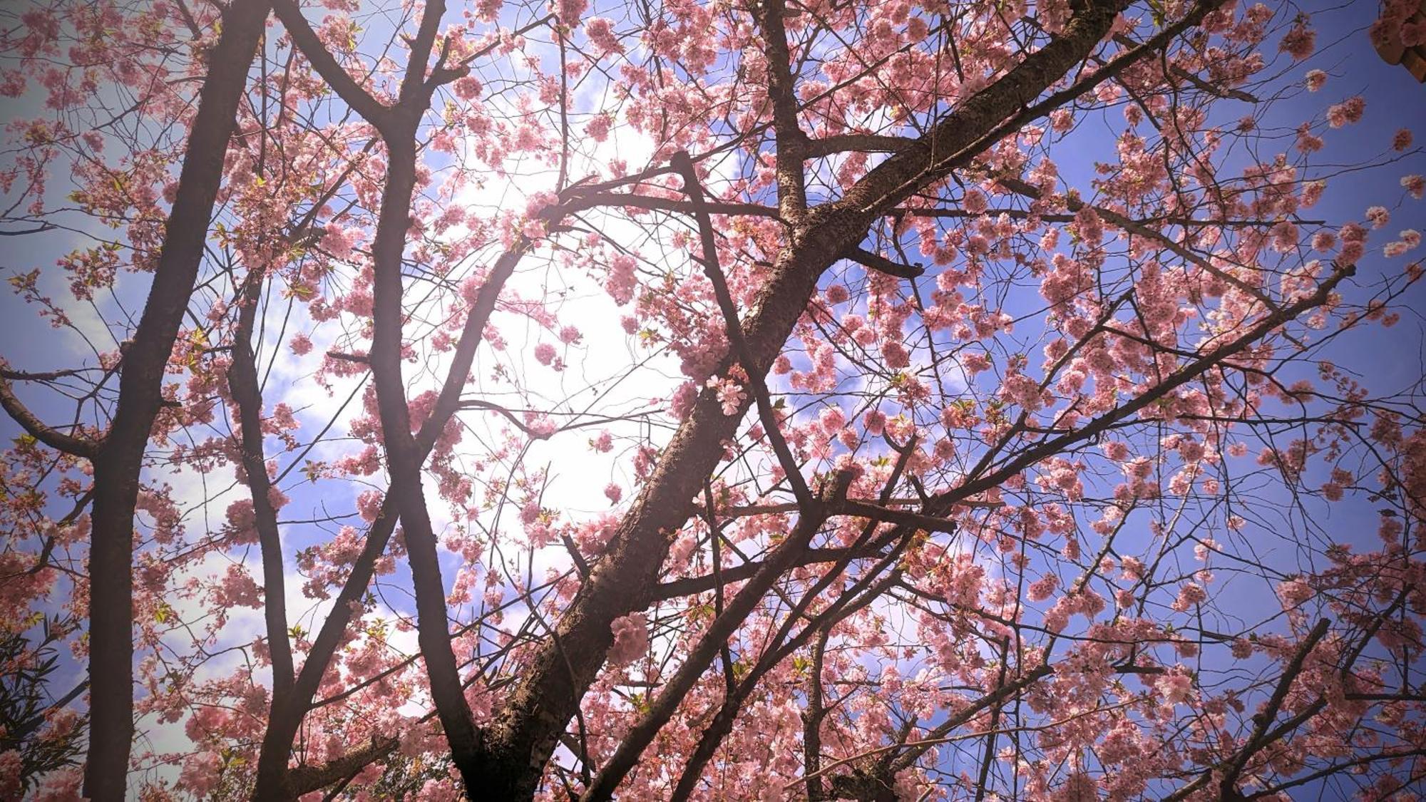 Maison Avec Jardin Au Sud De Paris Apartment ฌ็องตีญี ภายนอก รูปภาพ